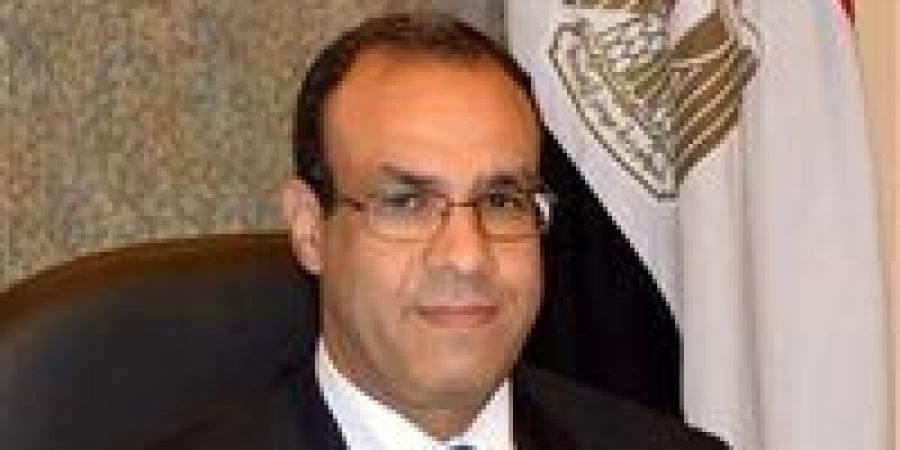 بدر عبد العاطي يجري اتصالين هاتفيين مع وزيرى خارجية الهند وباكستان