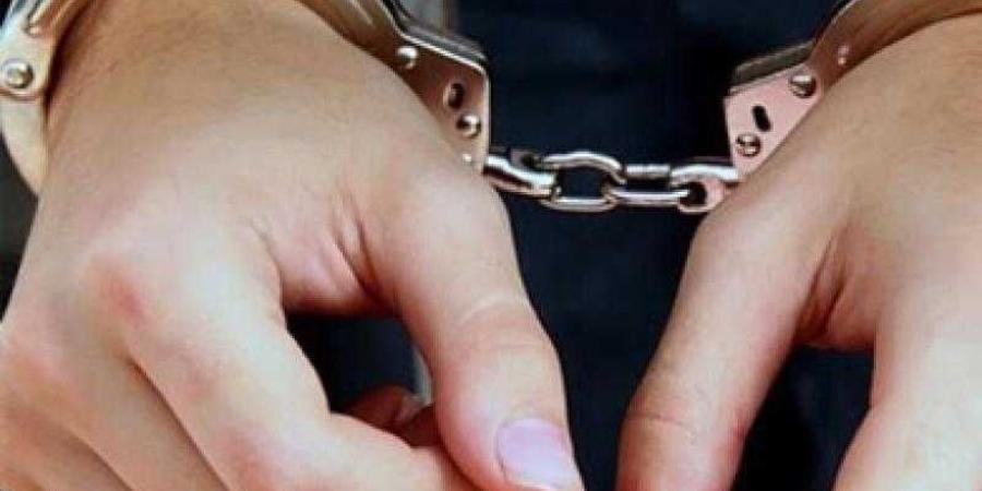 تجديد حبس سائق تريلا متهم بالتسبب في دهس 7 سيارات بالسلام