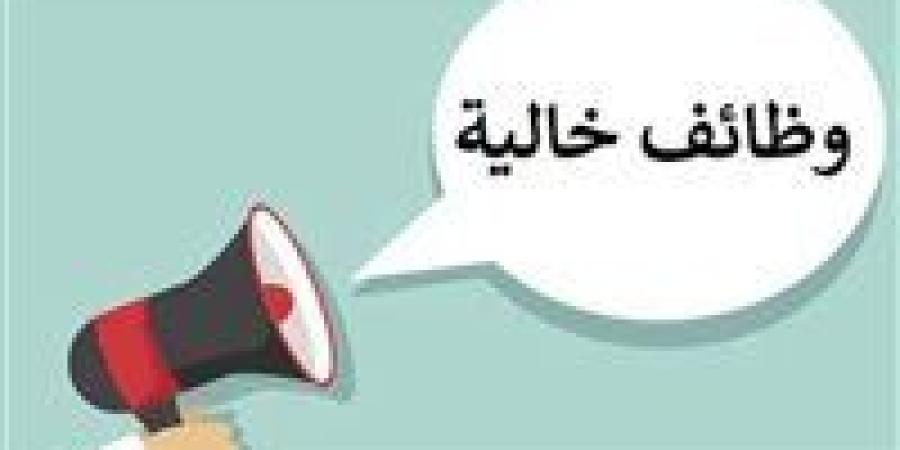 وظائف المدرسة المصرية الدولية بالشيخ زايد.. الشروط وطريقة التقديم