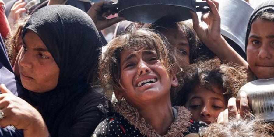 المرصد العالمي لمراقبة المجاعة: نصف مليون شخص في غزة يواجهون الموت جوعًا