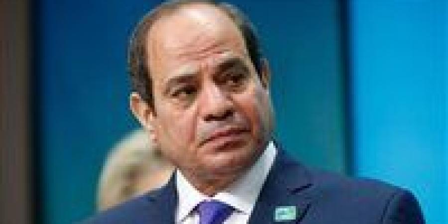 الرئيس السيسي يبحث تعزيز التعاون مع مجموعة البنك الأفريقي للتنمية
