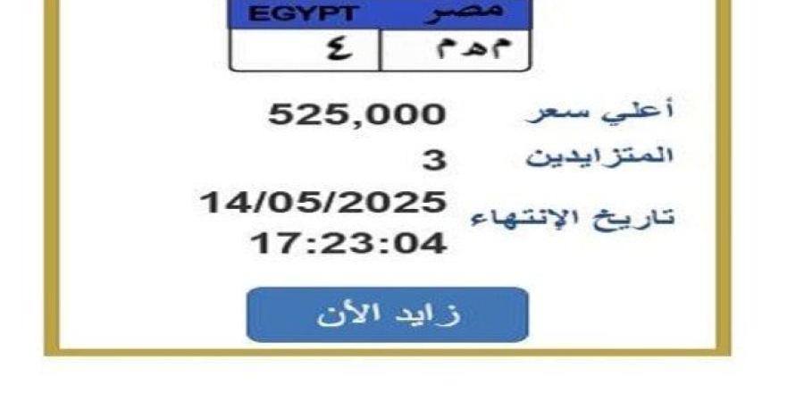 سعرها وصل لـ 525 ألف جنيه.. مزايدة نارية على لوحة سيارة مميزة