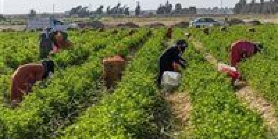 تعديل النظام الداخلي لجمعيتين زراعيتين في كفر الشيخ والشرقية