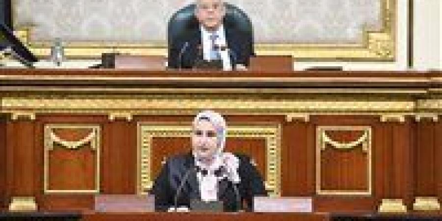 مجلس النواب يوافق على منحة أوروبية بـ 12 مليون يورو لصالح استراتيجية مصر للسكان