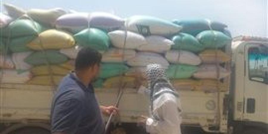 البحيرة تستقبل أكثر من 121 ألف طن قمح من المزارعين
