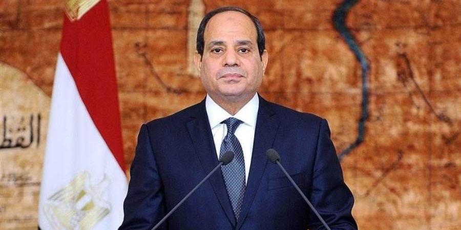الرئيس السيسي يبحث سبل تعزيز العلاقات بين مصر والبنك الأفريقي للتنمية