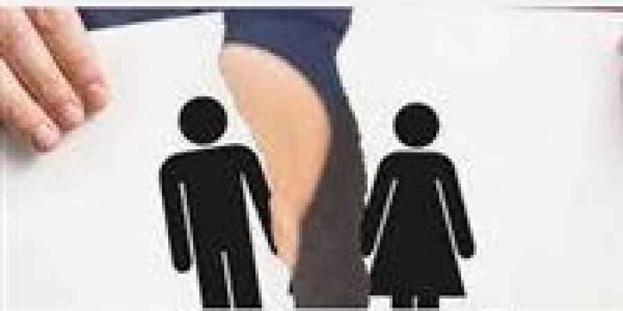 صراعات بأركان محكمة الأسرة.. العقوبة القانونية لمن يمنع الأب من رؤية أطفاله