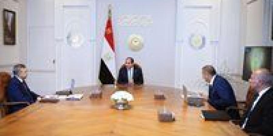 الرئيس السيسي يوجه بتعزيز صناعة السفن.. ومشروعات ضخمة قومية تدعم التجارة العالمية