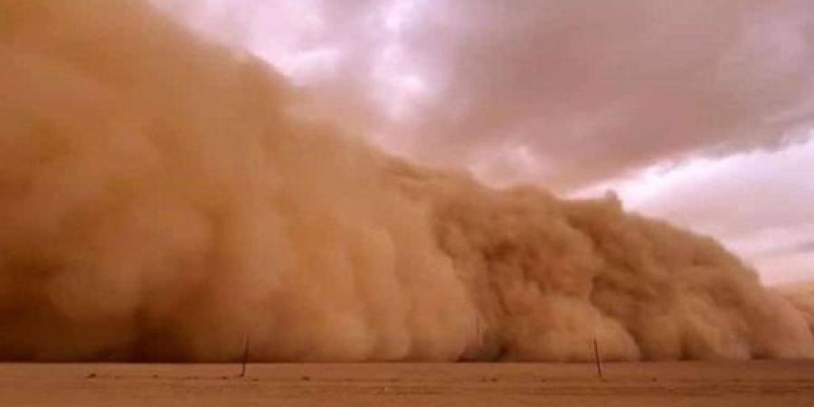 العاصفة “شيماء” تثير القلق بين المواطنين وهيئة الأرصاد توضح الحقيقة