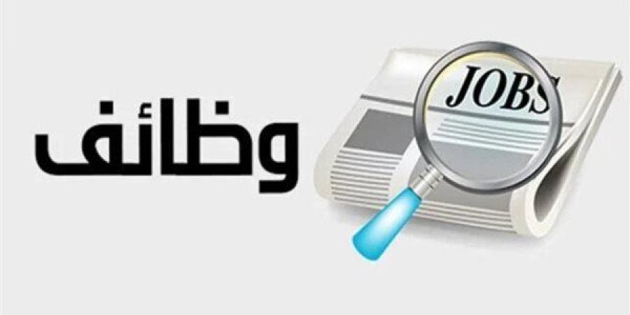 رواتب 4000 درهم.. وزير العمل: 1072 فرصة عمل للشباب بشركة مقاولات إماراتية