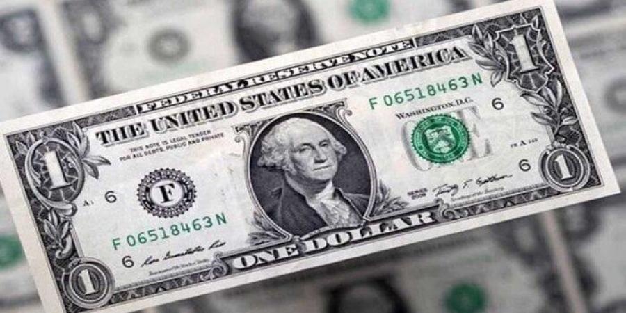 بكام النهاردة؟.. أسعار الدولار في مصر اليوم الأربعاء 14-5-2025