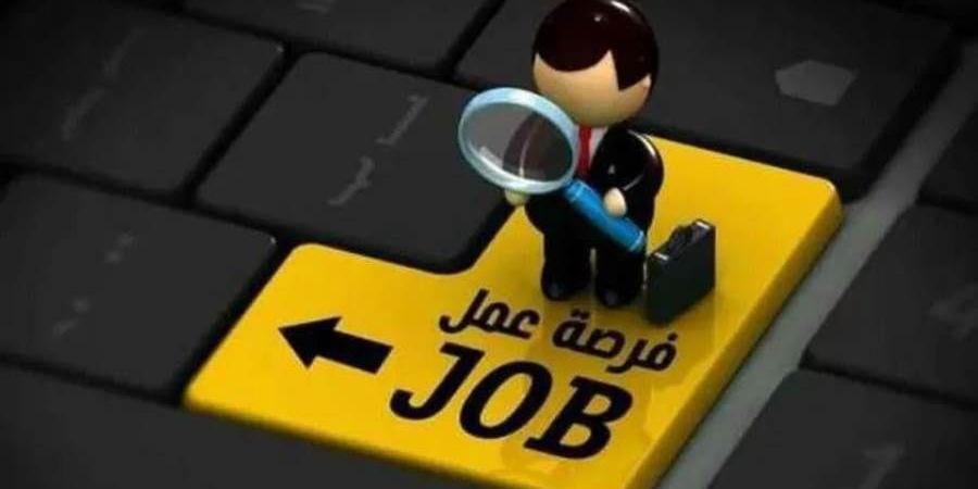 فرصة عمل مميزة في بنك أبوظبي الأول - مصر......التفاصيل وكيفية التقديم 