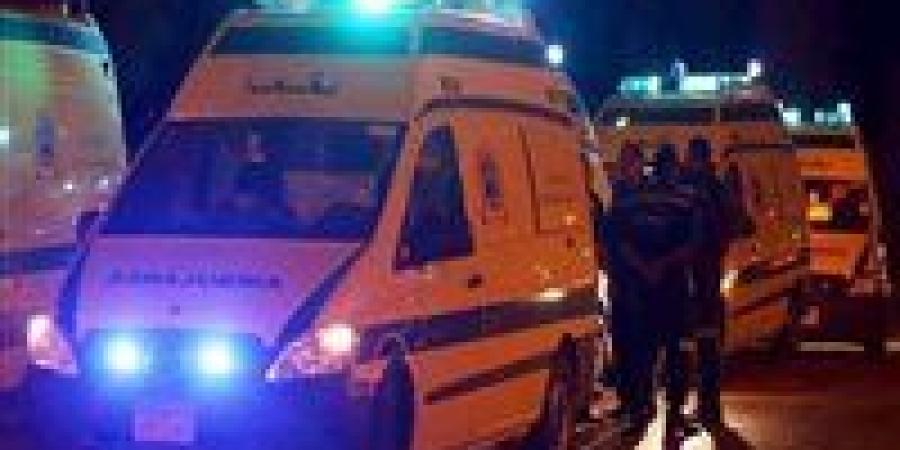 إصابة شخص ووفاة نجله في حادث تصادم سيارتين بالقناطر