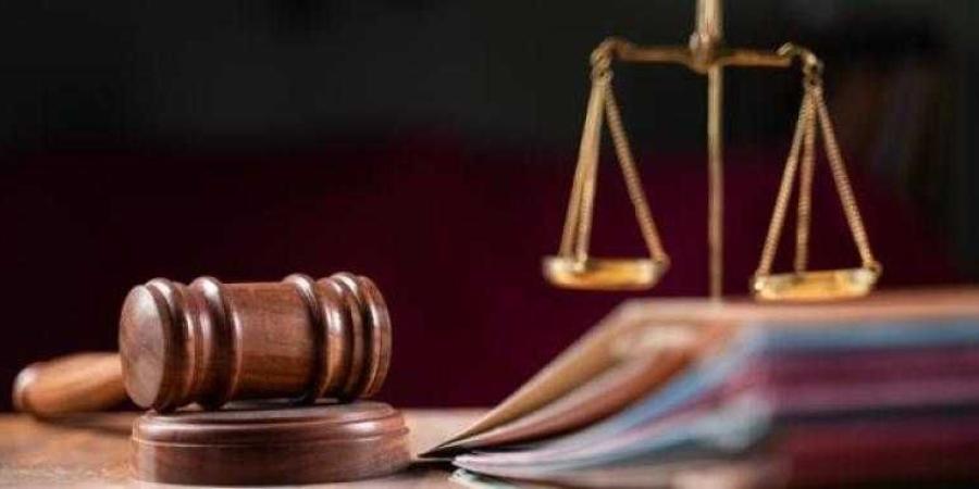 الحكم على 18 متهمًا بقتل مواطن في الجيزة.. اليوم