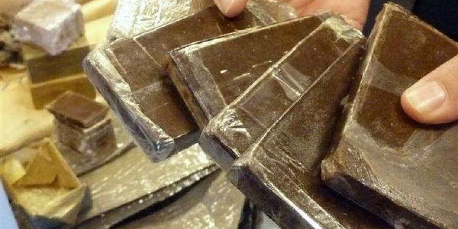 خلال 24 ساعة.. ضبط 2876 مخالفة مرورية و213 حكم قضائي| تفاصيل