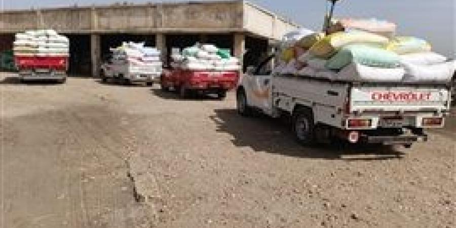 مزارعو البحيرة يواصلون توريد القمح مع استمرار أعمال الحصاد واستلام أكثر من 135 ألف طن
