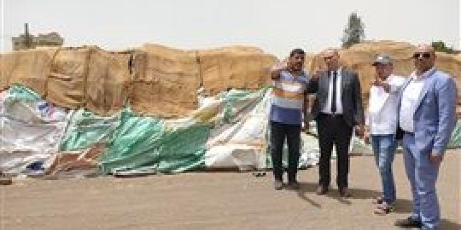 توريد 131 ألف طن قمح لشون وصوامع كفر الشيخ
