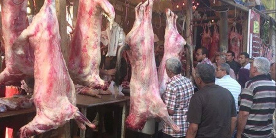 هل يجوز توزيع لحم على الفقراء بدلًا من نحر أضحية؟.. دار الإفتاء تحسم الجدل