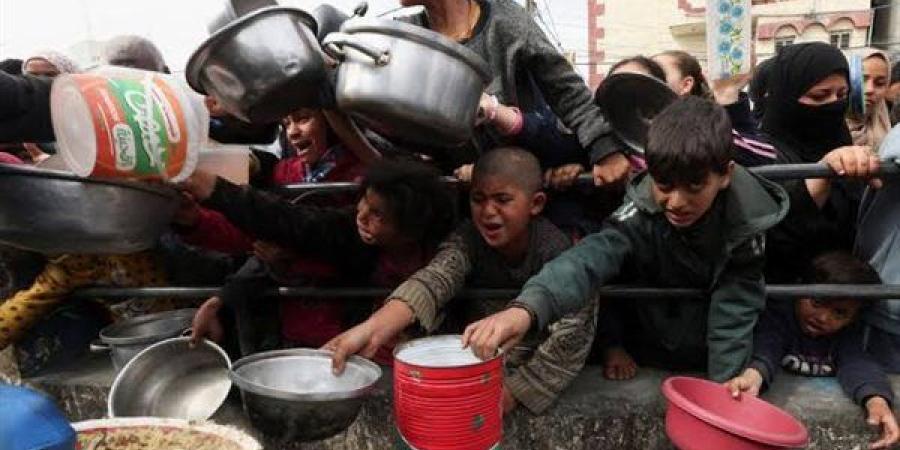صورة تحكي مأساة شعب.. القاهرة تحتضن وجع غزة بعدسة مصوريها