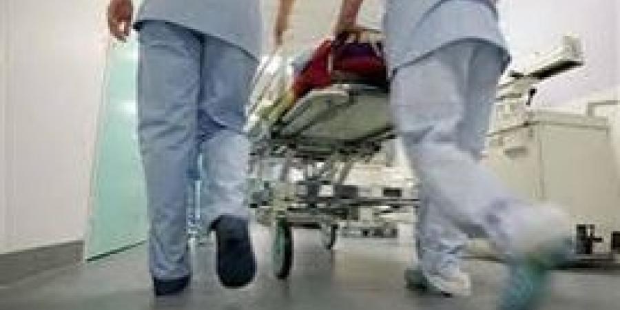 سوهاج.. اصابة 5 اشخاص في مشاجرة بجرجا