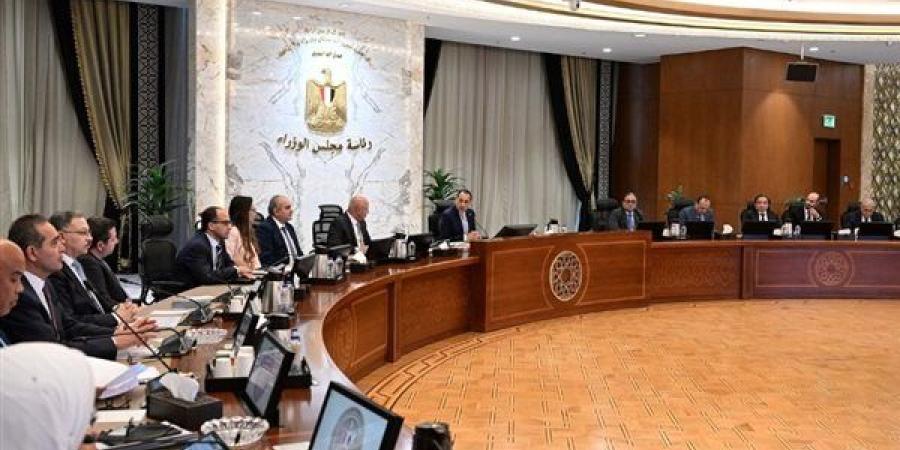 عضو لجنة تنمية الصادرات: دعم الشحن وتوسيع المساندة التصديرية ضرورة وطنية