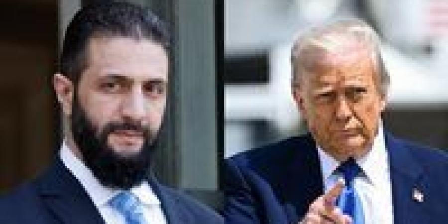 «فرصة ذهبية».. ترحيب عربي واسع بعد إعلان ترامب رفع العقوبات عن سوريا
