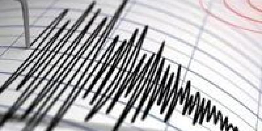 عاجل| رئيس قسم الزلازل: المدن الساحلية الأكثر شعورًا بزلزال فجر الأربعاء