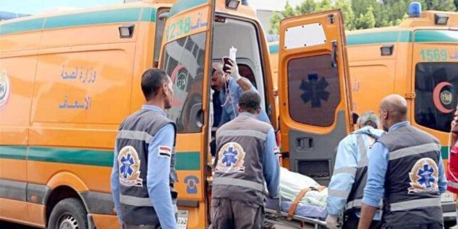 إصابة 9 أشخاص في حادث تصادم على طريق القاهرة - الفيوم
