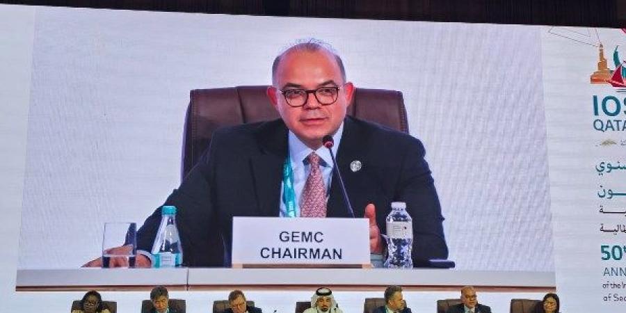 الرقابة المالية: عام 2025 نقطة محورية في مسيرة دعم الأسواق الناشئة