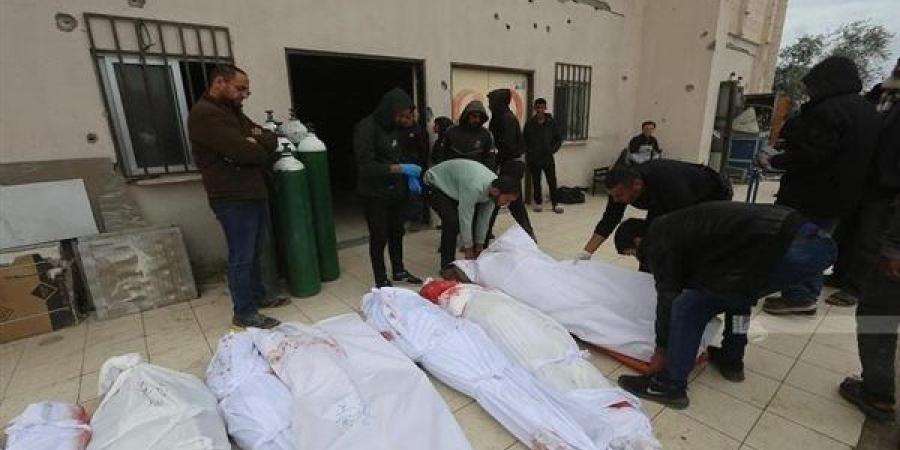 صحة غزة: ارتفاع عدد ضحايا العدوان الإسرائيلي على القطاع إلى 53010 شهداء