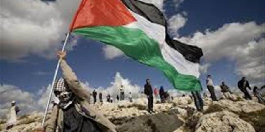 مندوب مصر لدى الأمم المتحدة: مصر قدمت دوما الدعم للقضية الفلسطينية