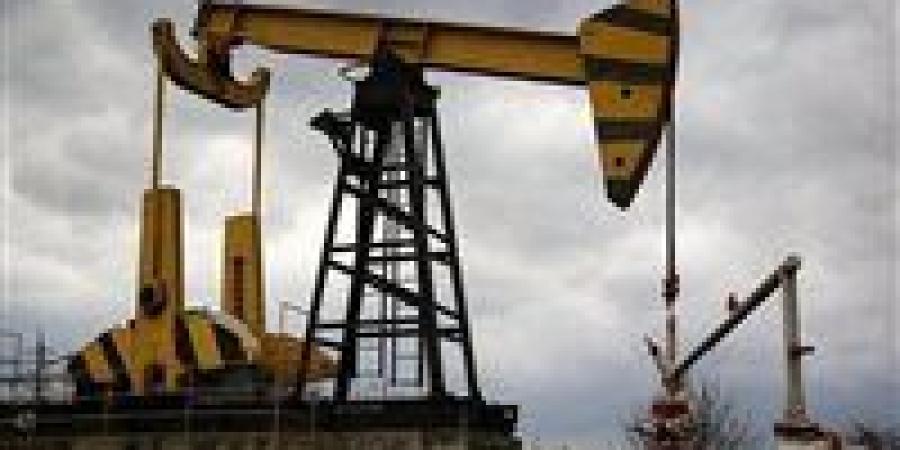 وكالة الطاقة الدولية تتوقع نمو الطلب العالمي على النفط لبقية 2025