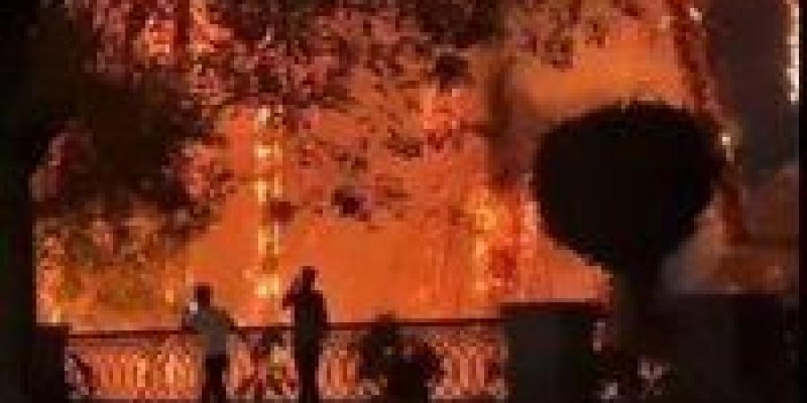 حريق كورنيش المعادي.. النيران تلتهم أقدم الأشجار والنخيل بالفيديو