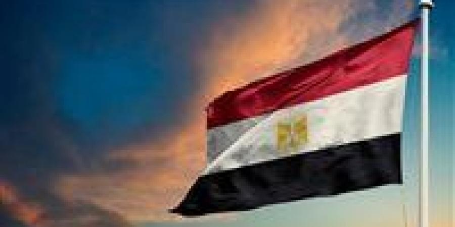 برلمانية: بيان الخارجية رسالة سياسية قوية وتأكيد على التزام مصر بثوابتها تجاه فلسطين