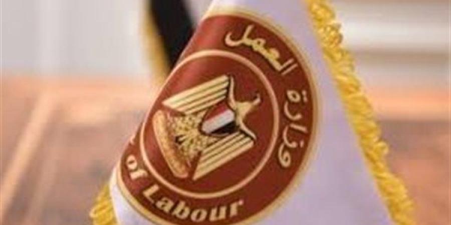 وزارة العمل تكشف عن نشاطها الأسبوعي