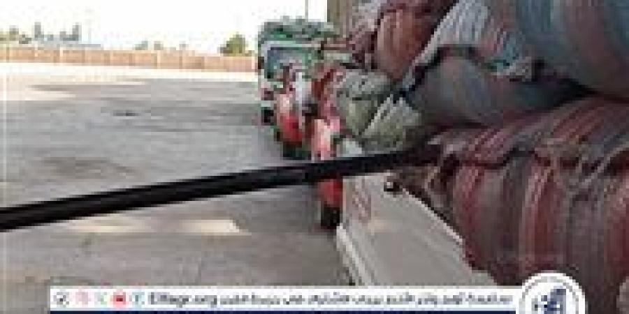 330 ألف طن قمح بصوامع المنيا في موسم التوريد 2025