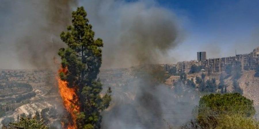 الحرائق تلتهم إسرائيل.. دولة الاحتلال تدفع بفرق الإطفاء وطائرات لمواجهة النيران
