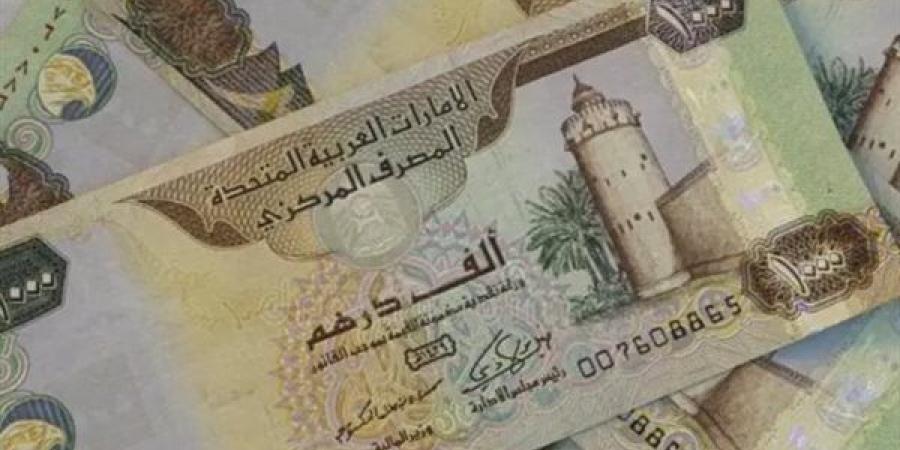 سعر الدرهم الإماراتي مقابل الجنيه المصري اليوم الجمعة 16 مايو 2025