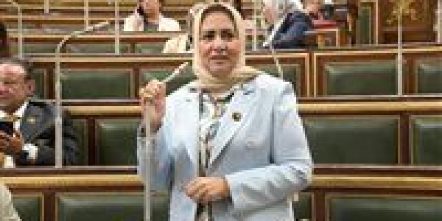 سحر صدقى: قمة بغداد تستهدف تعزيز التكامل ولم الشمل العربي وإنهاء الصراع فى قطاع غزة