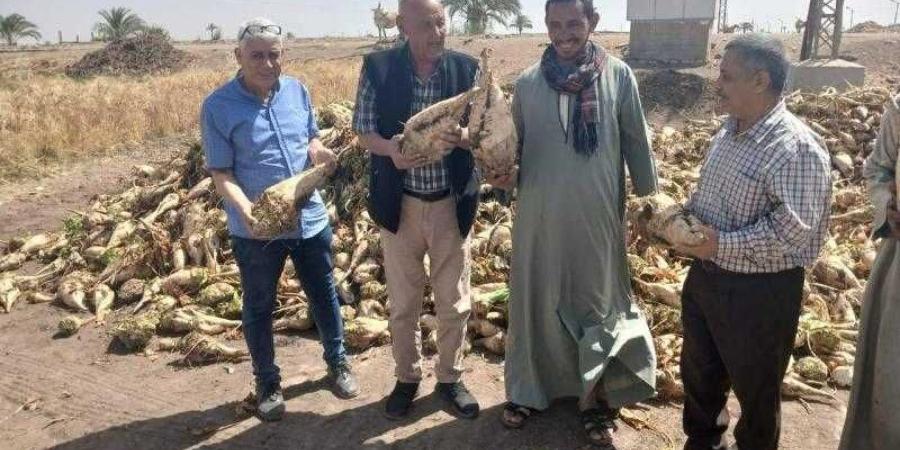 وكيل وزارة الزراعة بأسيوط يتفقد زراعات البنجر وحصاد وتوريد القمح بمركز أسيوط