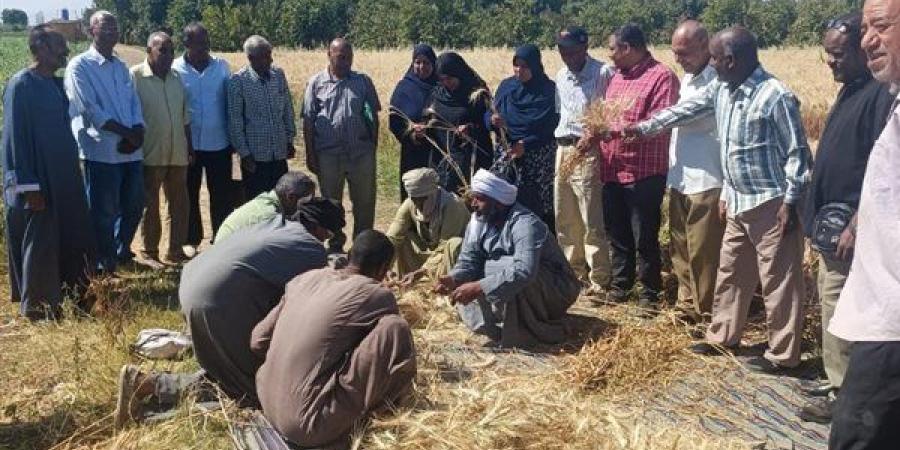 تسوية 500 فدان بالليزر لصغار مزارعي سوهاج.. "الزراعة" تواصل أعمال تطهير المساقي الخصوصية