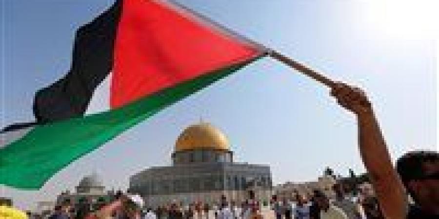 "فلسطين فوق التطبيع".. كاريكاتير بريشة الفنان محمد عبد اللطيف