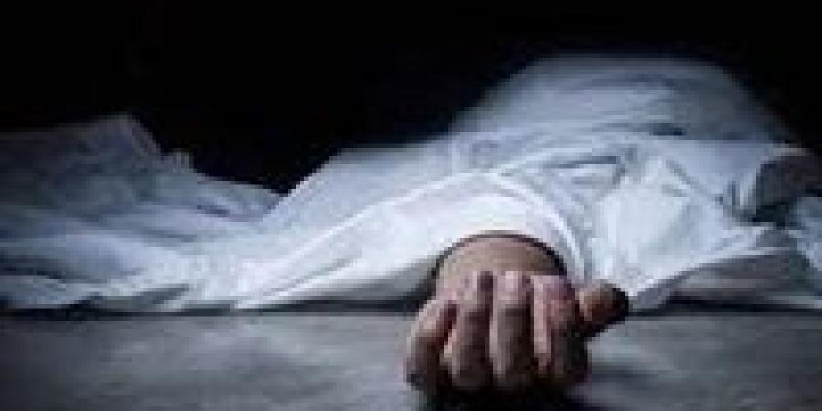 مصرع شخص بالدقهلية بعد سقوطه من أعلى عمود كهرباء في قرية بداوي