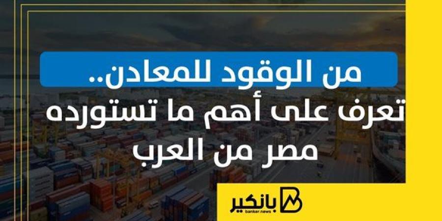 من الوقود للمعادن.. تعرف على أهم ما تستورده مصر من العرب | إنفوجراف