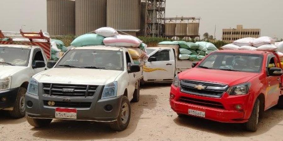 محافظة البحيرة تحقق نجاحًا ملحوظًا في موسم توريد القمح المحلي