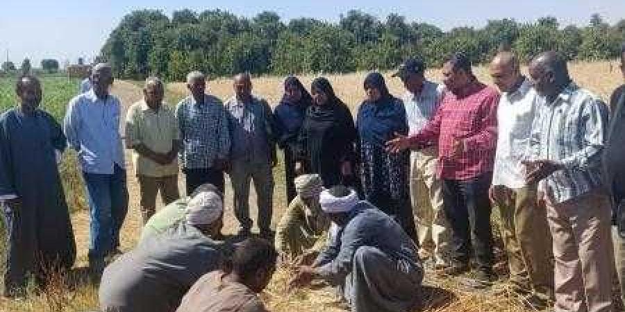 تحسين الأراضي ينفذ يوم حصاد لمحصول القمح بمركز ...