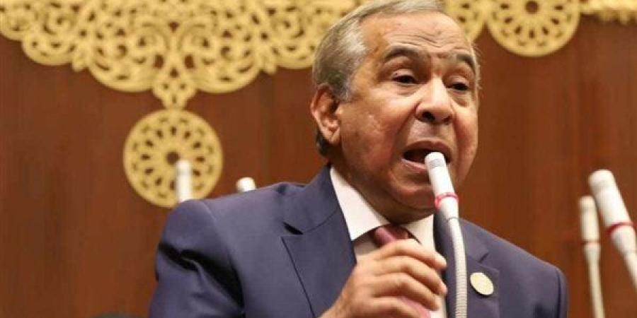 طارق رسلان: الرئيس السيسي ينادي بجذب المستثمرين الدوليين ولا بد من تحفيز المستثمرين