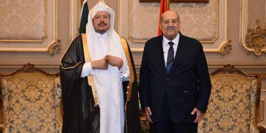 رئيس مجلس الشيوخ يشيد بتطور العلاقات الثنائية مع السعودية بما يحقق مصالح الشعبين