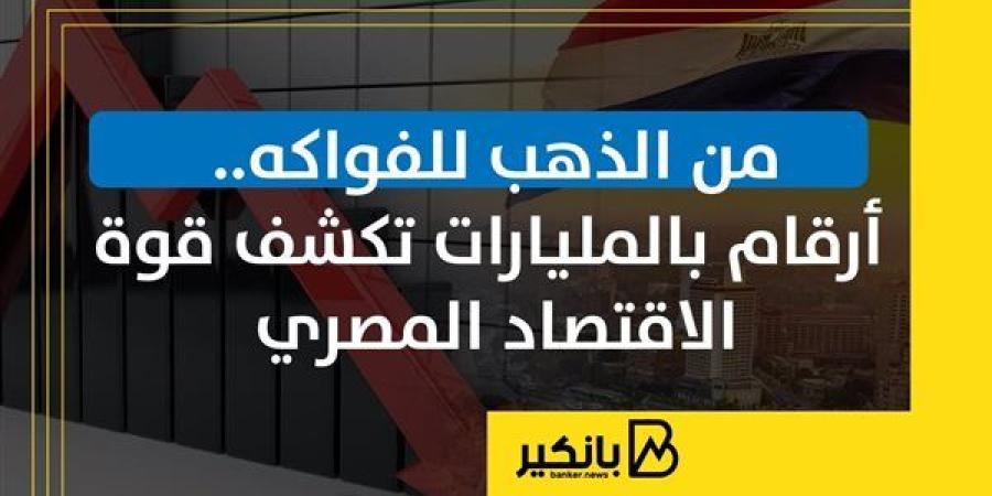 من الذهب للفواكه.. أرقام بالمليارات تكشف قوة الاقتصاد المصري | إنفوجراف