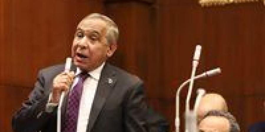 النائب طارق رسلان: الرئيس السيسي ينادي بجذب المستثمرين الدوليين ولابد من تحفيز المستثمرين للاستثمار في مصر